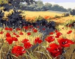 Red Poppy Flowers Field - Paint By Numbers