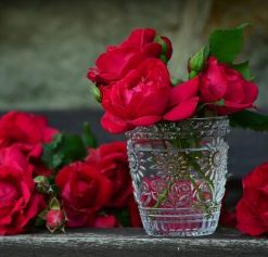 Red Roses In Glass Cup – Paint By Number