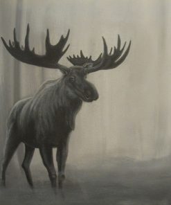 Reindeer - Paint By Number