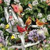 Adirondack Cardinals - Paint By Numbers