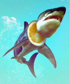 Shark Tee - Paint By Numbers