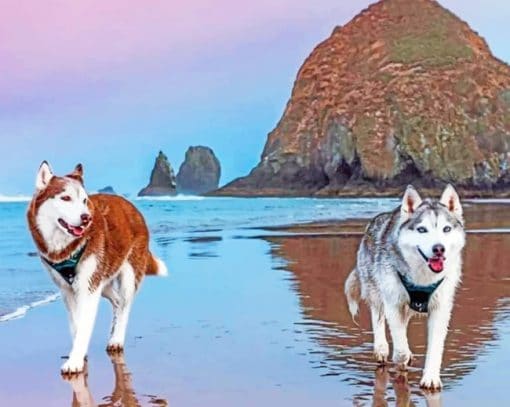 Siberian Huskies On Beach Paint by numbers