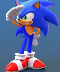 Sonic Hedgehog - Paint By Numbers