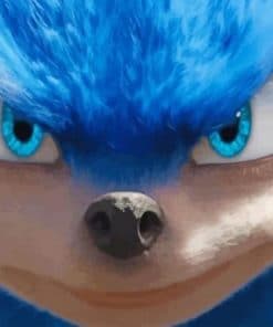 Sonic The Hedgehog - Paint By Numbers