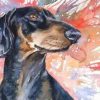 Splatter Dachshund Dog - Paint By Numbers