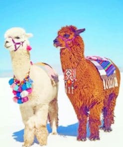 Stylish Alpacas Paint by numbers
