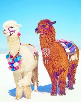 Stylish Alpacas Paint by numbers
