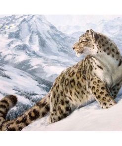 Snow Leopard – Paint By Number