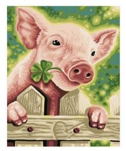Pig - Paint By Number