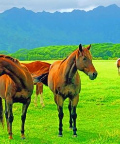 Wild Horses - Paint By Number