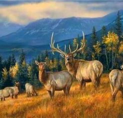 Wild Deer Groupe – Paint By Number