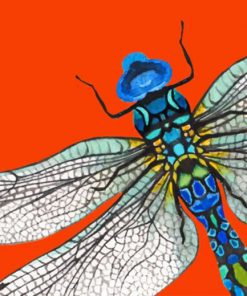 Aesthetic Abstract Dragonfly Paint by numbers