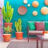 House Garden paint by numbers