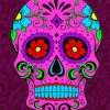 Aesthetic Folk Art Skull paint by numbers