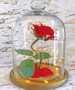 Aesthetic Red Rose – Paint By Number