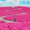 Autumn Japan Garden Paint by numbers