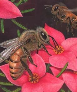 A Drawing Of A Bee On A Flower – Paint By Number