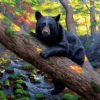 Black Bear – Paint By Number