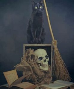 Black Cat And Skull – Paint By Numbers