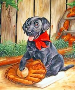 Black Dog Playing Baseball - Paint By Numbers