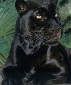 Black Panther Animal - Paint By Numbers