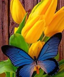 Blue Butterfly On Yellow Tulips - Insects Paint By Numbers