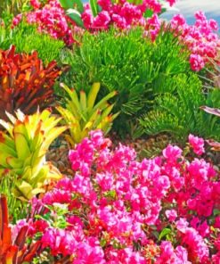 Botanical Garden – Paint By Number
