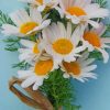 Bunch Of Daisy Flowers paint by numbers