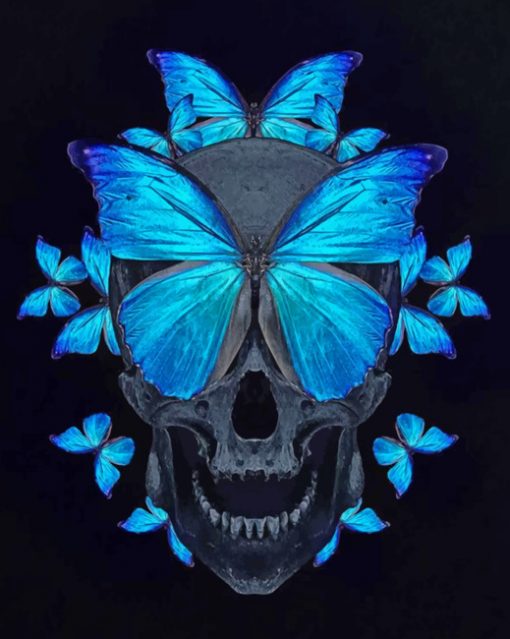 Butterfly Skull Paint by numbers