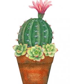 Cactus Plant - Paint By Numbers