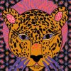 Cool Tiger paint by numbers