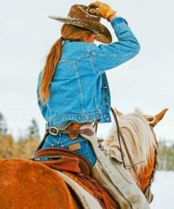 Cowgirl - Paint By Numbers