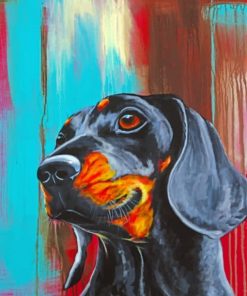 Dachshund Dog - Paint By Numbers