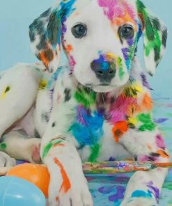 Colorful Dalmatian - Paint By Numbers
