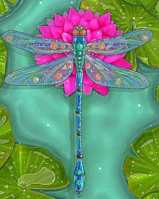dragonfly illustration Paint by numbers