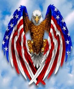 Eagle American Flag - Paint By Numbers