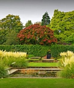 Botanical Garden – Paint By Number