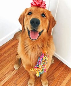 Golden Retriever – Paint By Number