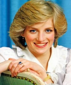 Gorgeous Lady Diana - Paint By Numbers