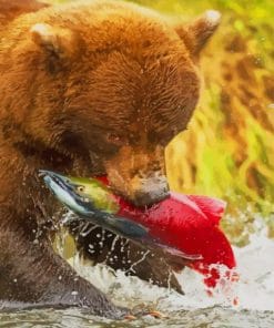 Grizzly Bear Catching Salmon – Animals Paint By Numbers