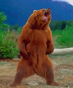 Grizzly Bear Standing – Animals Paint By Numbers