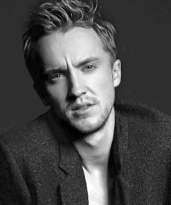 Handsome Draco Malfoy Paint by numbers