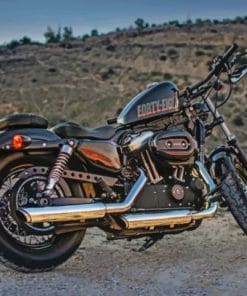 Harley Davidson Forty Eight - Paint By Numbers