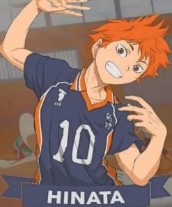 Hinata Haikyuu – Paint By Number