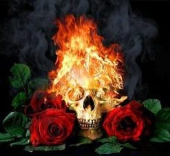 Death Roses – Flowers Paint By Number