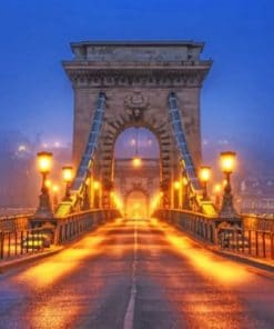 Bridge In Budapest Hungary - Paint By Numbers