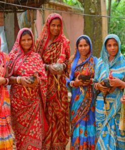 Indian Women Wearing Sari paint by numbers