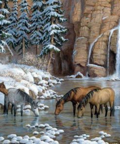 River Herd Of Horses - Paint By Number