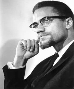 Malcolm X Black And White - Paint By Numbers