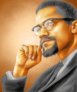 Malcolm X - Paint By Numbers